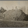 Haystack on farm in the cut-over areas near Northome, Minnesota