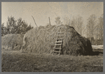 Haystack on farm in the cut-over areas near Northome, Minnesota