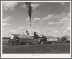 Trucks loaded with sugar beets, factory in background, East Grand Forks, Minnesota