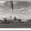 Trucks loaded with sugar beets, factory in background, East Grand Forks, Minnesota