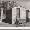 Shack occupied by transient sugar beet workers near Fisher, Minnesota