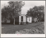 Shacks occupied by Mexican beet workers.  Near Fisher, Minnesota