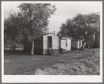 Shacks occupied by Mexican beet workers.  Near Fisher, Minnesota