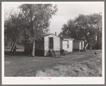 Shacks occupied by Mexican beet workers.  Near Fisher, Minnesota