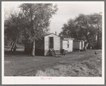 Shacks occupied by Mexican beet workers.  Near Fisher, Minnesota