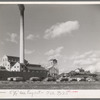 Sugar beet factory with trucks lined up waiting to be unloaded, East Grand Forks, Minnesota