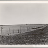 Scene, Williams County, North Dakota