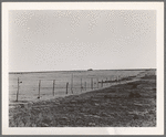 Scene, Williams County, North Dakota