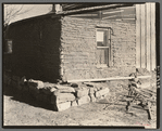 Detail of mud and stick house with tarpaper addition, Williams County, North Dakota