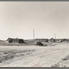 Old farm and shacks. Alkabo, Divide County, North Dakota