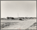 Old farm and shacks. Alkabo, Divide County, North Dakota