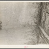 Detail of root cellar of Elmer Thompson, Sheridan County, Montana