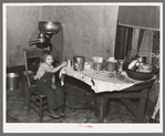 Daughter of John Baker in kitchen of the farm home, Divide County, North Dakota