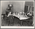 Daughter of John Baker in kitchen of the farm home, Divide County, North Dakota