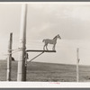 Old weathervane on farm south of Crosby, North Dakota