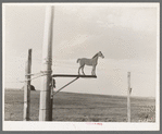 Old weathervane on farm south of Crosby, North Dakota