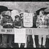 Intro 475 demonstration at City Hall, New York City, 1973 April