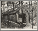 Shack of old gold prospector. Two Bit Creek, near Deadwood, South Dakota
