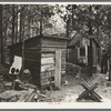 Shack of old gold prospector. Two Bit Creek, near Deadwood, South Dakota