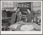 Southeast Missouri Farms. Customers examining yard goods in cooperative store. La Forge project, Missouri