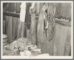 Southeast Missouri Farms. Part of attic bedroom, sharecropper's shack. La Forge project, Missouri