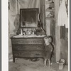 Southeast Missouri Farms. Daughter of FSA (Farm Security Administration) client, former sharecropper, in corner of shack living room and bedroom