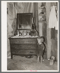Southeast Missouri Farms. Daughter of FSA (Farm Security Administration) client, former sharecropper, in corner of shack living room and bedroom
