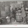 Southeast Missouri Farms. Sharecropper's daughter and chicken in kitchen of shack home