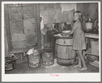 Southeast Missouri Farms. Sharecropper's daughter and chicken in kitchen of shack home