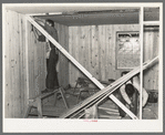 Southeast Missouri project field. House erection. Diagonal wind bracing is placed in every interior partition in the house