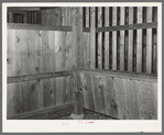 Interior of barn stall for mules. Southeast Missouri Farms