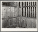 Interior of barn stall for mules. Southeast Missouri Farms