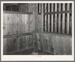 Interior of barn stall for mules. Southeast Missouri Farms