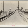 Members of carnival crew erecting tent. Lasses-White traveling show, Sikeston, Missouri
