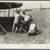 Pulling ropes for attachment to stakes. Lasses-White show, Sikeston, Missouri