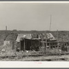 Shack on the other side of the railroad tracts, looking toward the levee. Tin Town, Caruthersville, Missouri