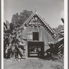 Pigeon cote on plantation barn near New Orleans, Louisiana