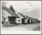 Row of Negro cabins, Destrehan, Louisiana