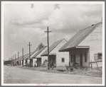 Row of Negro cabins near Destrehan, Louisiana