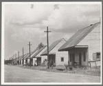 Row of Negro cabins near Destrehan, Louisiana