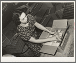 Packaging sacks of rice into cartons. State rice mill, Abbeville, Louisiana