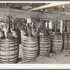 Barrels of perique tobacco during process of aging. Perique tobacco is raised in one parish in Louisiana, and this is the only place in the world where this tobacco is raised, Saint James Parish, Louisiana