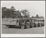 Lineup of school buses near Wells, Texas