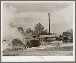 Burning pile of sawdust at sawmill at Wells, Texas