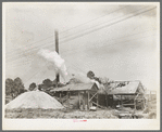 Sawmill. Wells, Texas