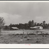 Typical farmstead. Sabine Farms, Marshall, Texas