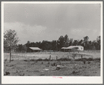 Typical farmstead. Sabine Farms, Marshall, Texas