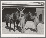 FSA (Farm Security Administration) clients with team in front of barn. Sabine Farms, Marshall, Texas