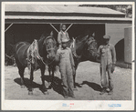 FSA (Farm Security Administration) clients with team in front of barn. Sabine Farms, Marshall, Texas