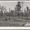 Clearing land. Sabine Farms, Marshall, Texas